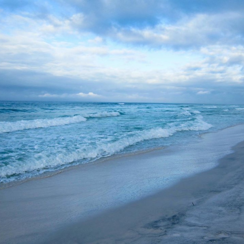 Meet your Posher 256 junktion!